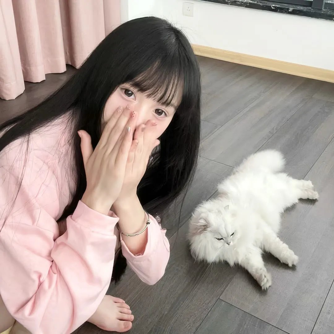 灵笼